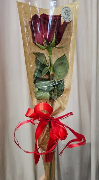 Rosa rossa in busta trasparente