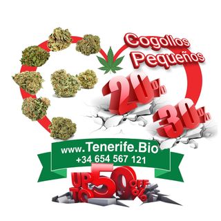 Fantastic Orange - 10g