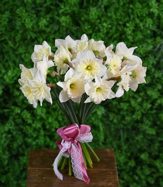 Buchet 25 narcise albe/galbene