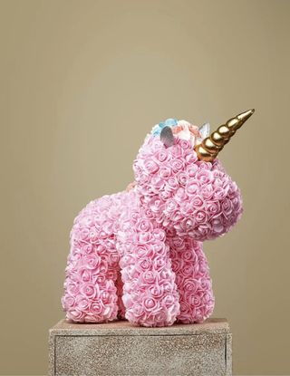 Flower unicorn 