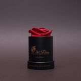 Trandafir criogenat roșu în mini-cutie neagră