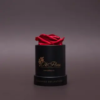 Trandafir criogenat roșu în mini-cutie neagră
