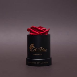 Trandafir criogenat roșu în mini-cutie neagră