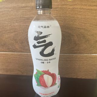Tonico litche 480cl senza zucchero 
