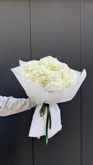 Buquê de Hortênsias Brancas