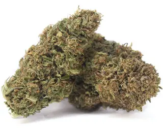Berry Kush
