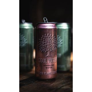 Agua Soul Water Lata (500 Ml.) 