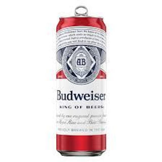 Pivo Budweiser