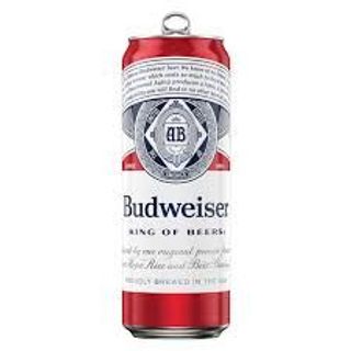 Pivo Budweiser
