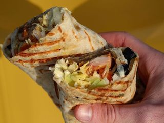 Завиванець Афіни великий (490g)