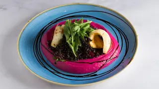 Cvekla salata