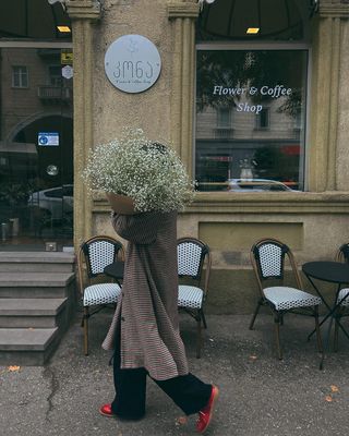 გიფსოფილას დიდი კონა