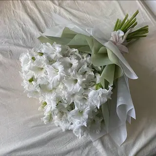 თეთრი გლადიოლუსები 