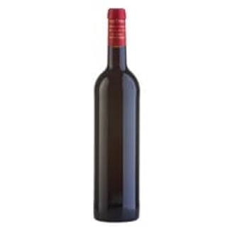 Vino tinto Miquel Pons - Penedès
