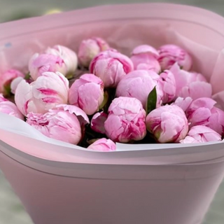 Святковий настрій 