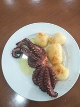 Pulpita A La Plancha