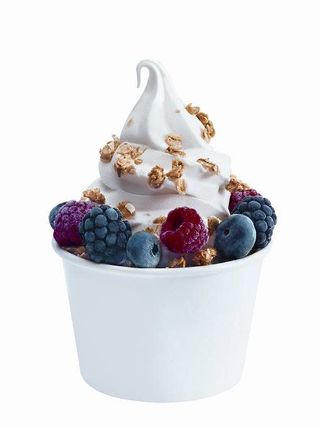 Jogurt mrożony Fit 250g (bez dodatków)