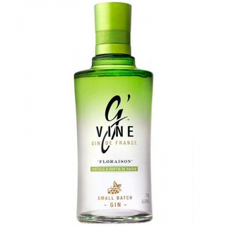 G'Vine Floraison (1 Lt.)