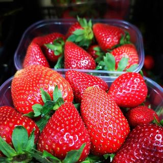 Fragole 