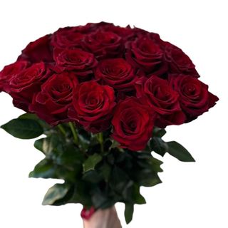 15 szt. Róże czerwone  ekwadorskie  średniej wysokości