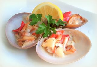 Conchas Finas Marinières