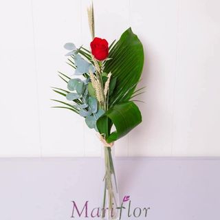 Rosa roja para regalar