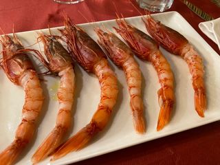 Gamberi rossi di Mazara