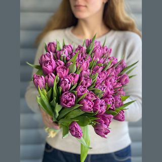 35 бузкових піоноподібних тюльпан