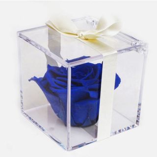 Rosa azul preservada en caja de metacrilato