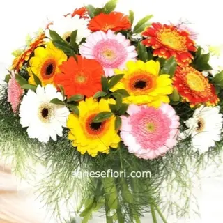 bouquet 6 gerbere colorate