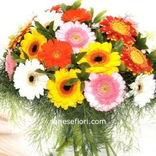 bouquet 6 gerbere colorate