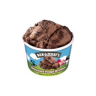 Ben & Jerry's Chocolate Fudge Brownie TA