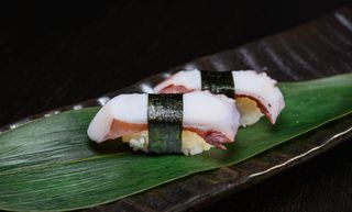 505. Nigiri tako 