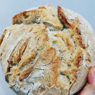 Torta Sólo Masa Madre (1 Ud.)