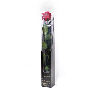 Rosa Eterna preservada