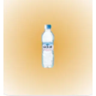  EAU MINERALE   33CL