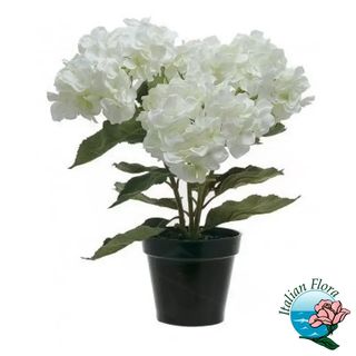 Bouquet di rose crema e rose salmone