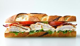 Panino chicken bacon
