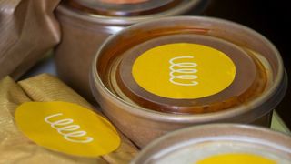 Domaća testenina (150 gr) + sveže skuvani sos Piletina pečurke (250gr)