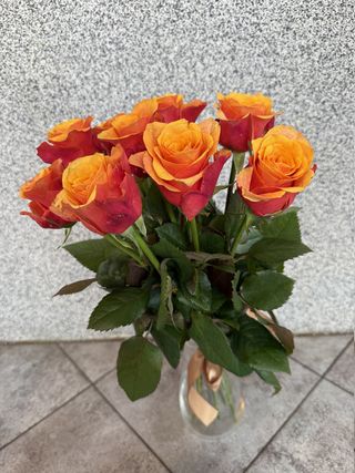 Bukiet z 5 pomarańczowych róż 