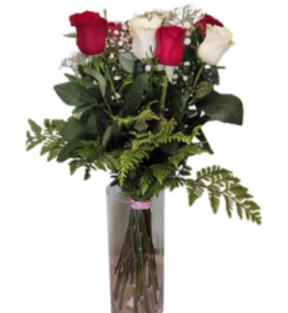 Nakia 6 Rosas Rojas Y Blancas