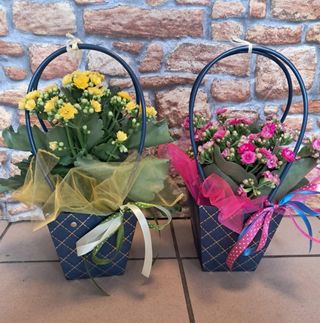 Kalanchoe w torebce z dekoracją