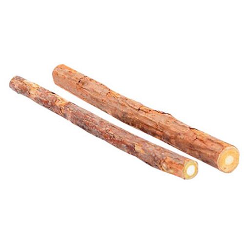 Veterinarska dijeta za pse