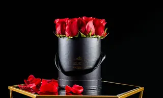 ვარდი n4