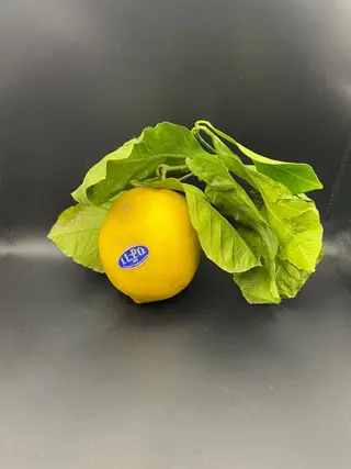 Limoni naturali Costiera