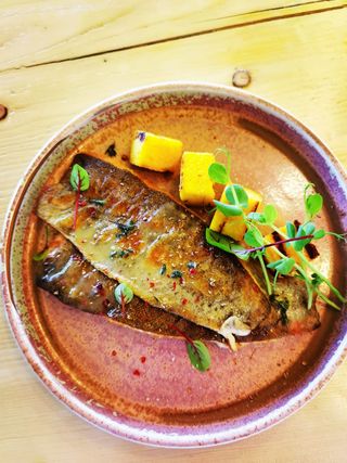 File de biban cu mămăligă coaptă