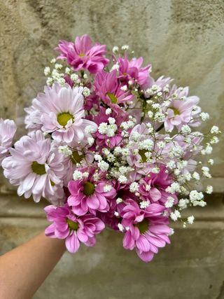 Ramo margaritas rosadas