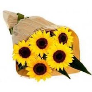 Girasole mazzo medio