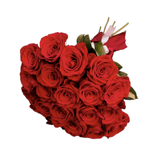 25 Trandafiri rosii