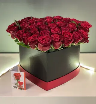 Elegancja róż